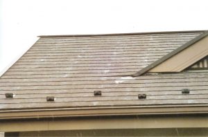 コロニヤル屋根を高圧洗浄をかけ、キレイに苔や汚れを落とした後、ヤネMシリコンで塗装しました